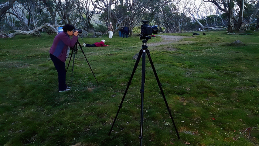 On The Shoot